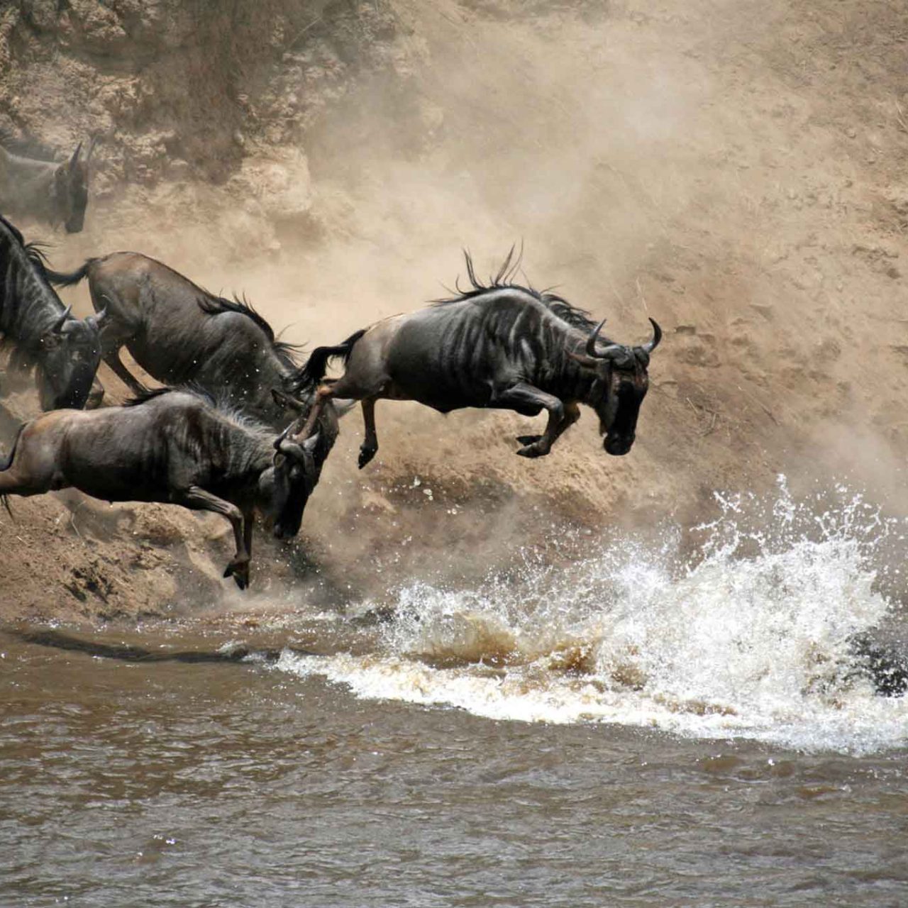 6-Day Private Northern Circuit Classic Safari: Mid-Range All-Year Adventure with The Woven Experience