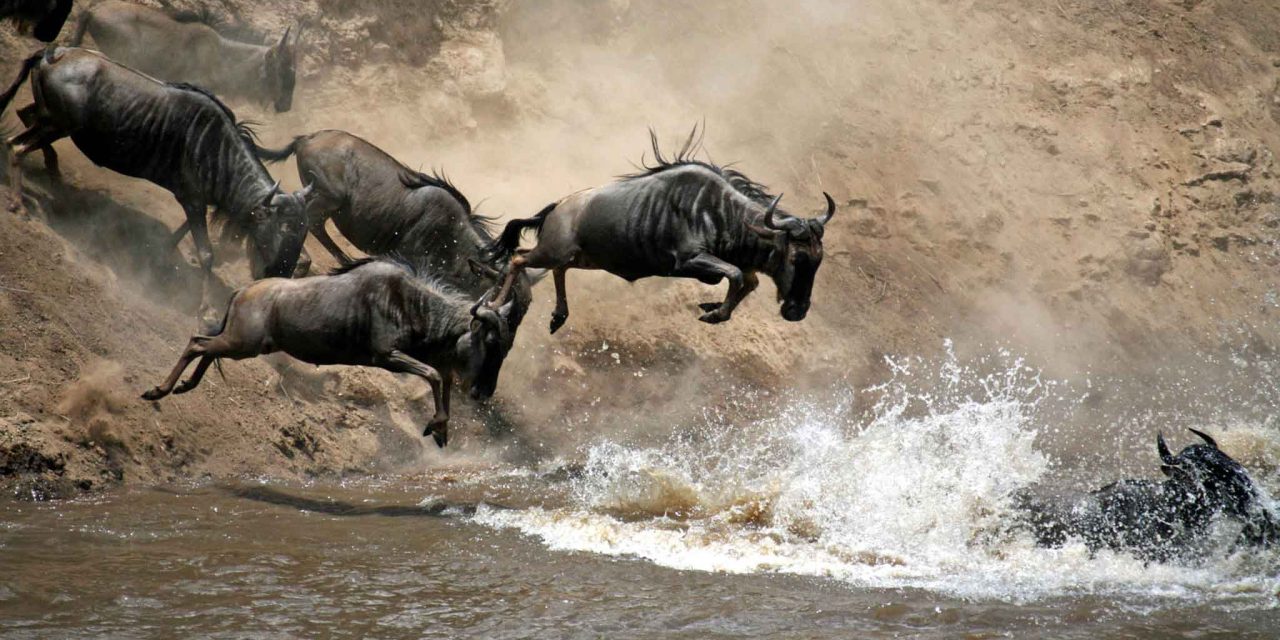 6-Day Private Northern Circuit Classic Safari: Mid-Range All-Year Adventure with The Woven Experience