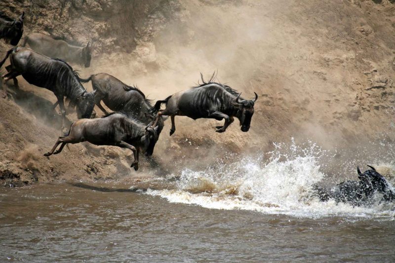 6-Day Private Northern Circuit Classic Safari: Mid-Range All-Year Adventure with The Woven Experience