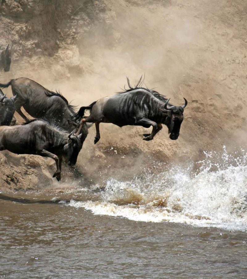 6-Day Private Northern Circuit Classic Safari: Mid-Range All-Year Adventure with The Woven Experience