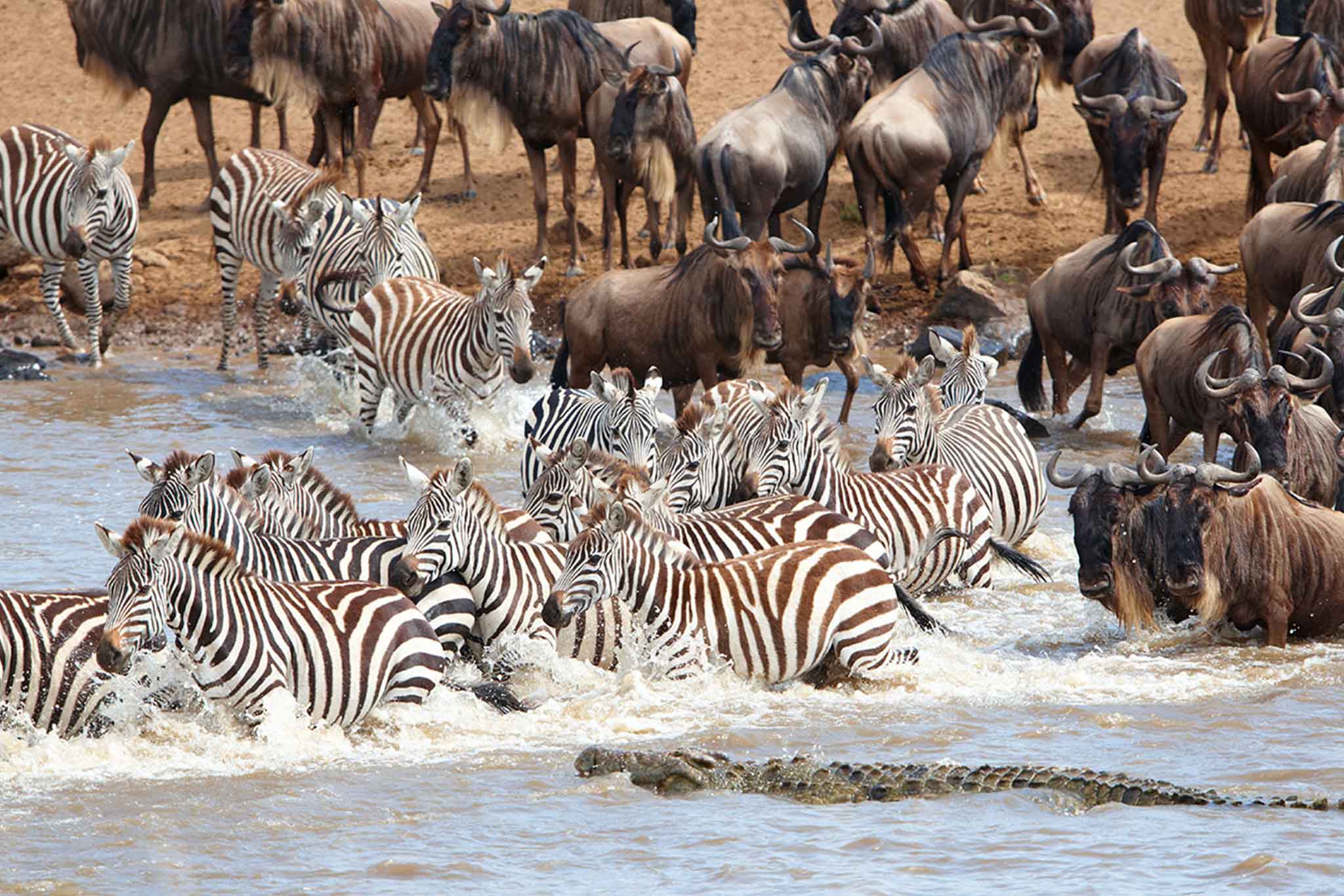 Serengeti-TWE-130 Serengeti-TWE-130