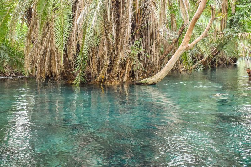 Chemka Hot Springs Day Trip from Arusha With The Woven Experience