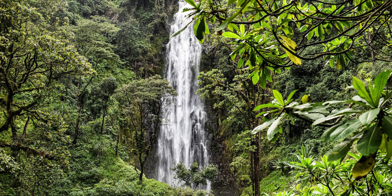 Materuni Waterfalls & Coffee Tour Day Trip from Arusha With The Woven Experience