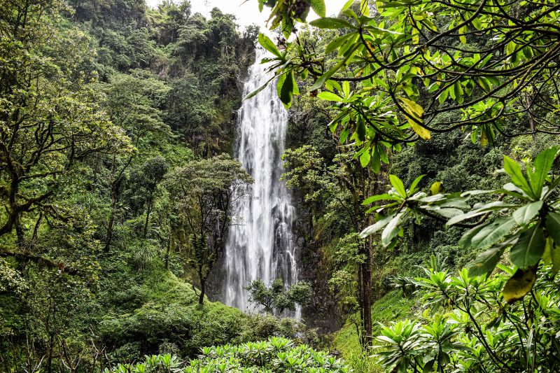Materuni Waterfalls & Coffee Tour Day Trip from Arusha With The Woven Experience