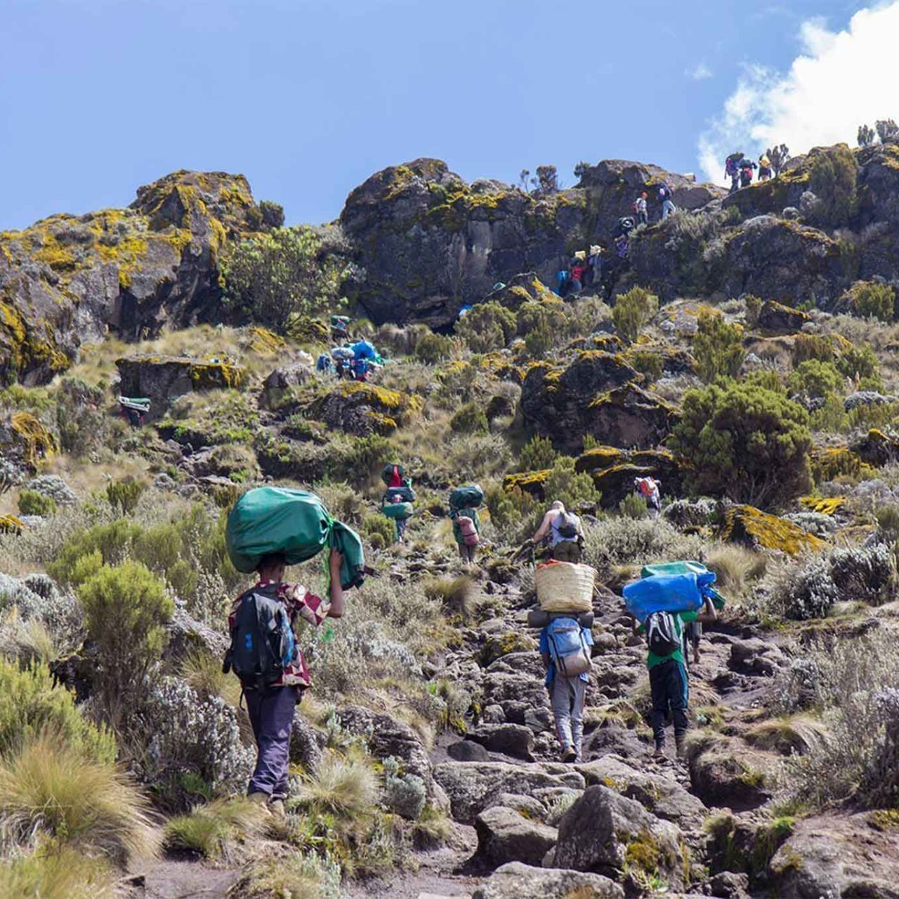 6-Day Marangu Route Itinerary: Your Ultimate Guide to Climbing Kilimanjaro