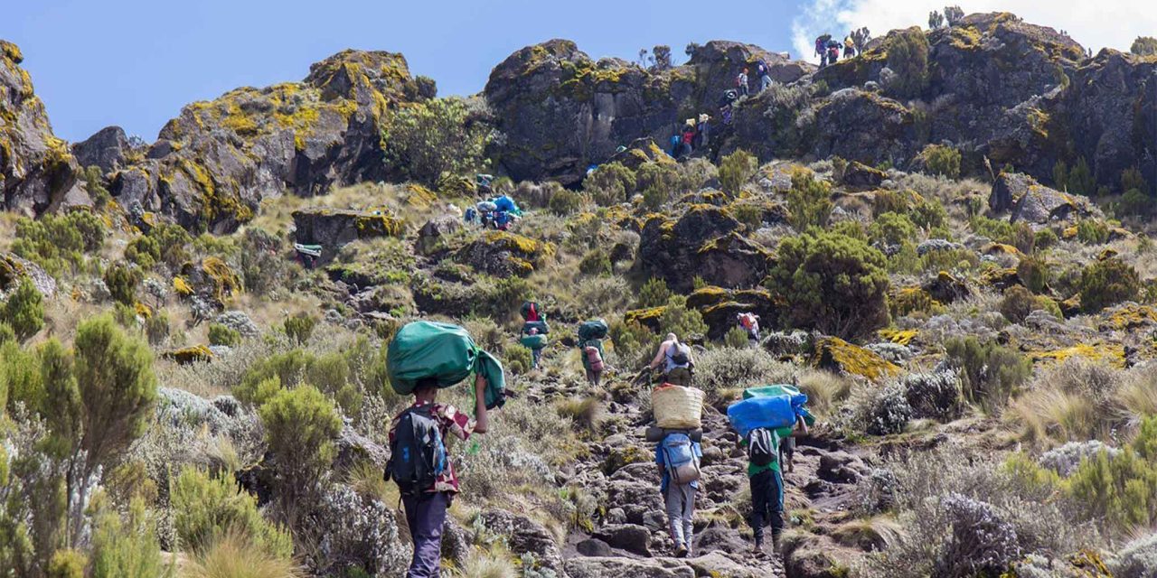 6-Day Marangu Route Itinerary: Your Ultimate Guide to Climbing Kilimanjaro
