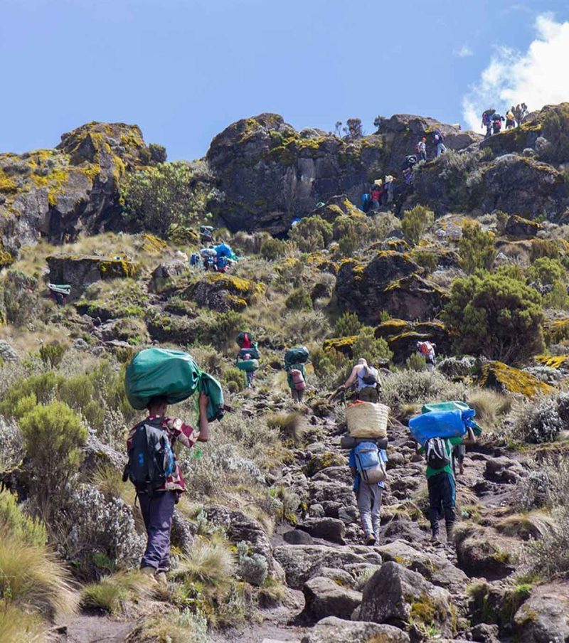 6-Day Marangu Route Itinerary: Your Ultimate Guide to Climbing Kilimanjaro