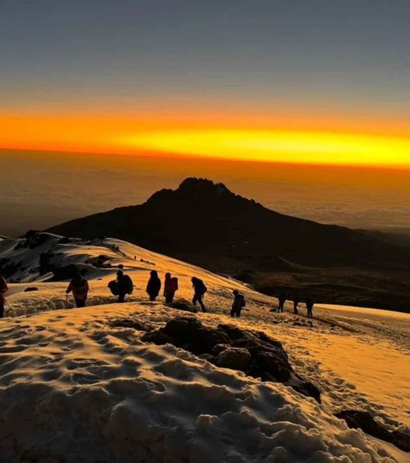 6-Day Lemosho-Shira Route Kilimanjaro Climb from Arusha With The Woven Experience
