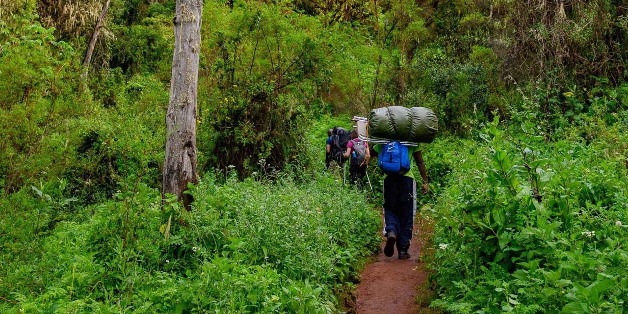 8-Day Northern Circuit Route Kilimanjaro Climb from Arusha With The Woven Experience