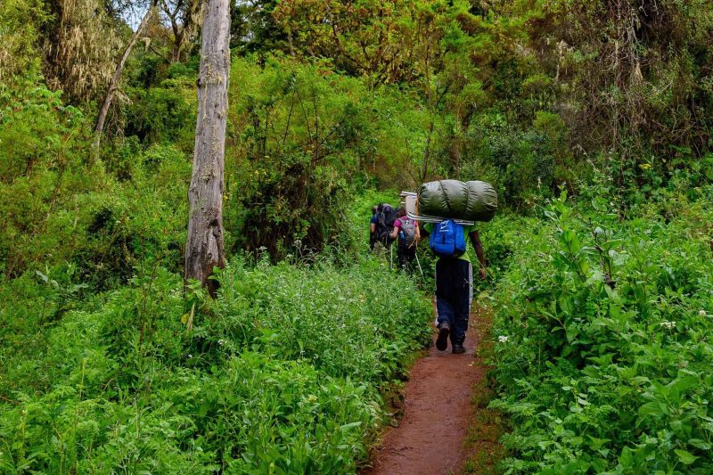 8-Day Northern Circuit Route Kilimanjaro Climb from Arusha With The Woven Experience