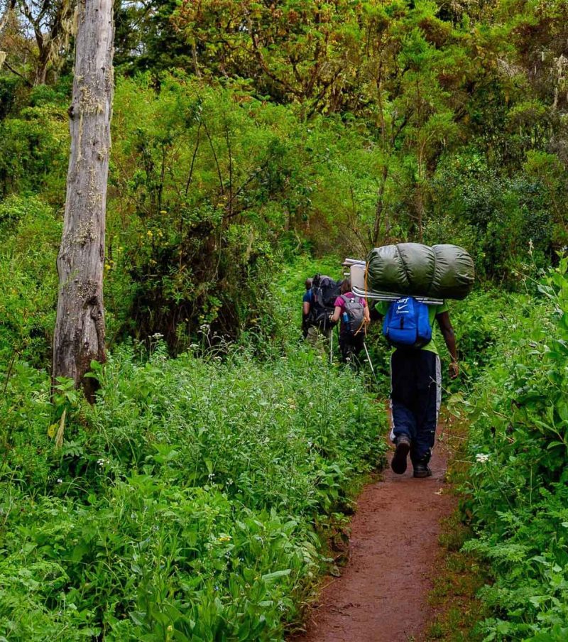 8-Day Northern Circuit Route Kilimanjaro Climb from Arusha With The Woven Experience