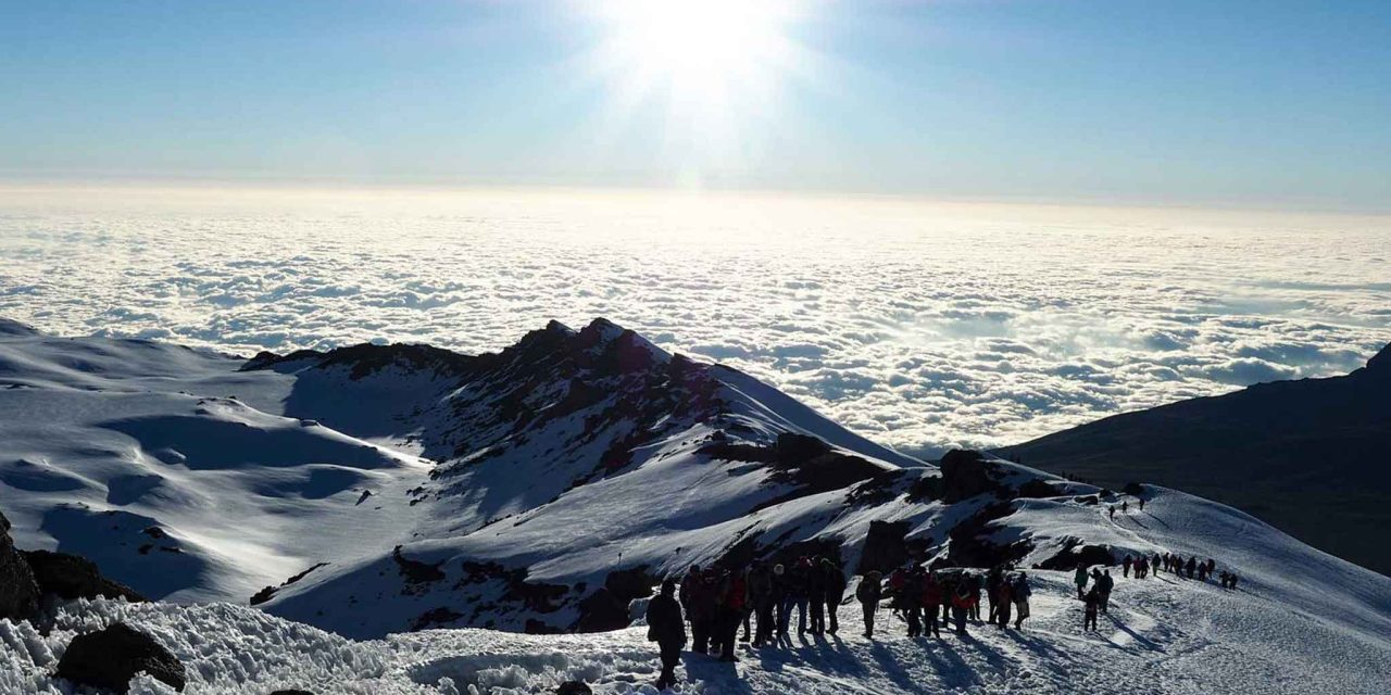 7-Day Rongai Route Itinerary: Your Ultimate Guide to Climbing Kilimanjaro