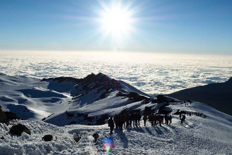 7-Day Rongai Route Itinerary: Your Ultimate Guide to Climbing Kilimanjaro
