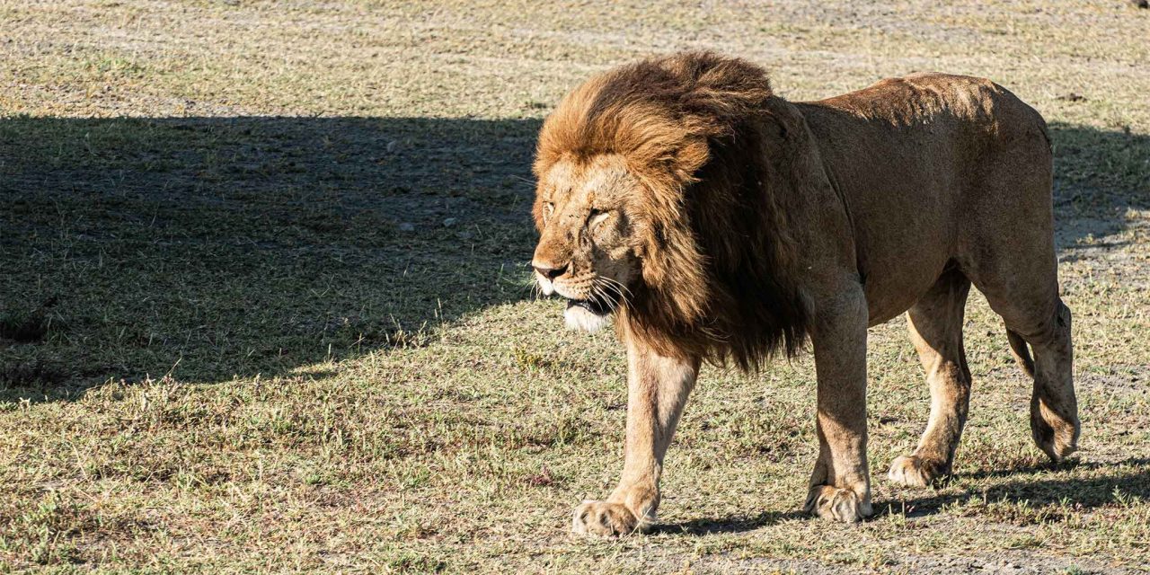 13-Day Classic Northern Circuit & Zanzibar Beach – Most Popular Luxury Combo