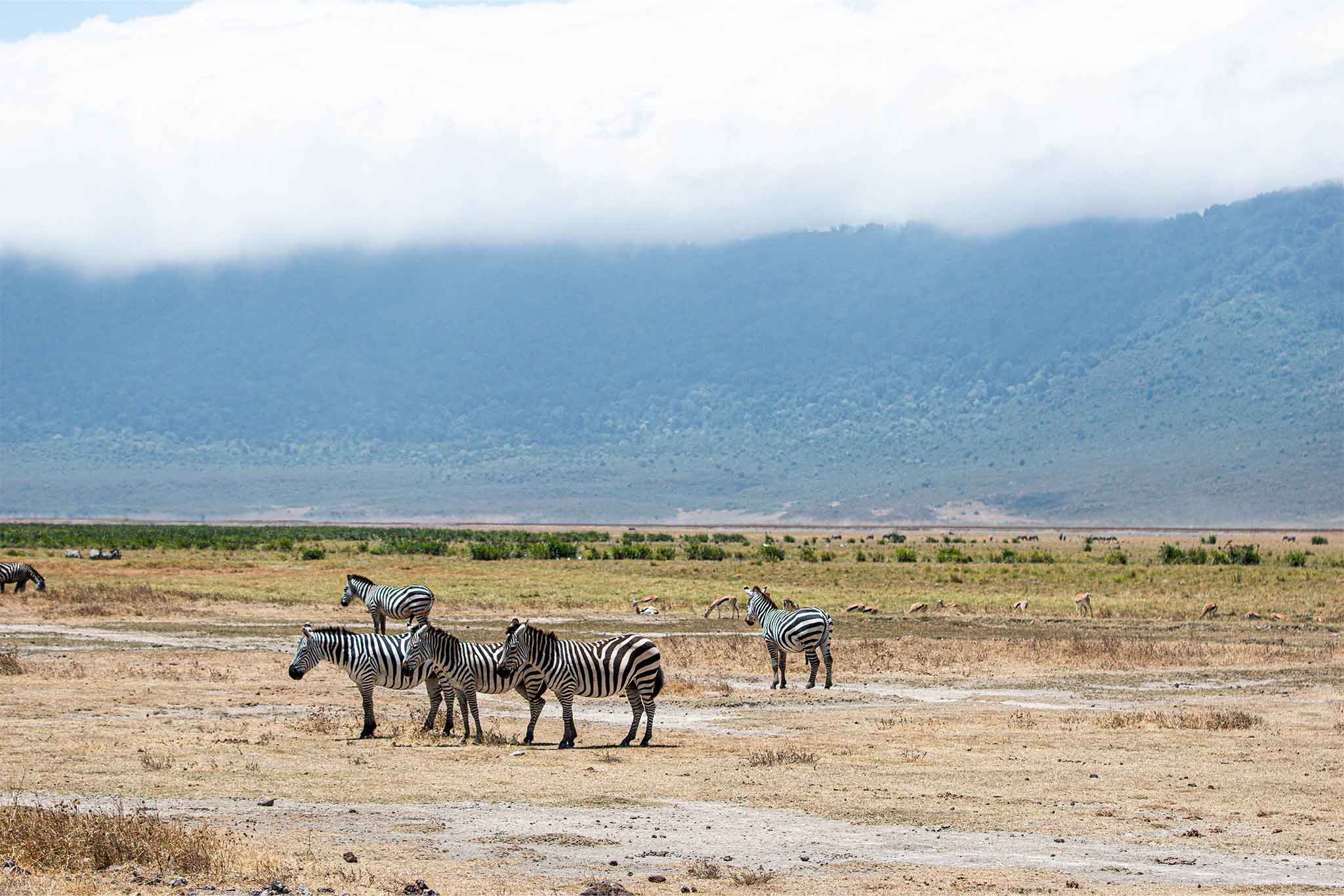 Ngorongoro-TWE-11 Ngorongoro-TWE-11