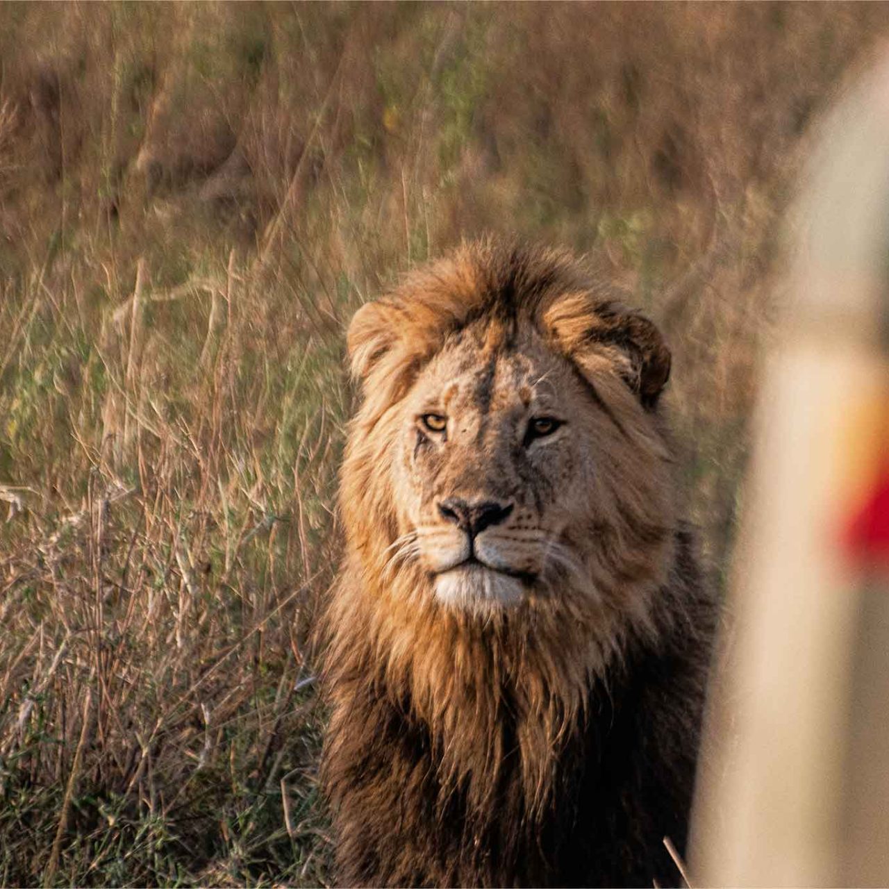 11-Day Classic Northern Circuit & Zanzibar Beach (Most Popular Luxury Combo) with The Woven Experience