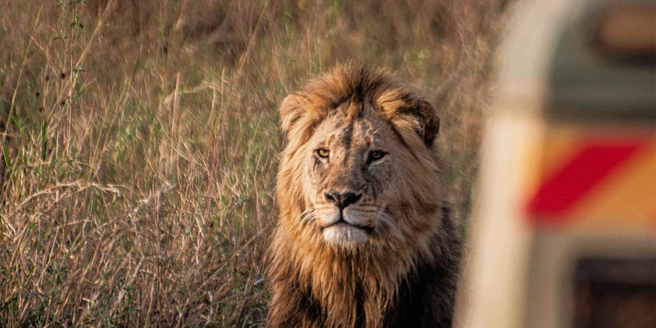 11-Day Classic Northern Circuit & Zanzibar Beach (Most Popular Luxury Combo) with The Woven Experience