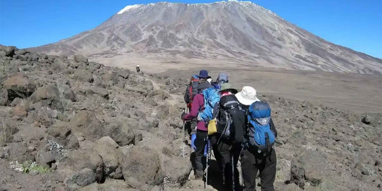 8 Days Lemosho Route: Immersive Adventures with The Woven Experience on Kilimanjaro