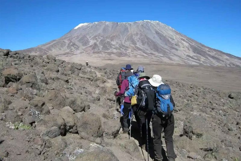 8 Days Lemosho Route: Immersive Adventures with The Woven Experience on Kilimanjaro