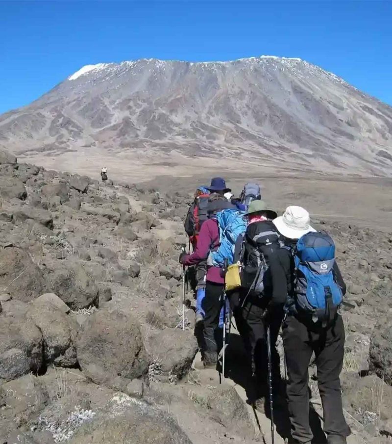 8 Days Lemosho Route: Immersive Adventures with The Woven Experience on Kilimanjaro