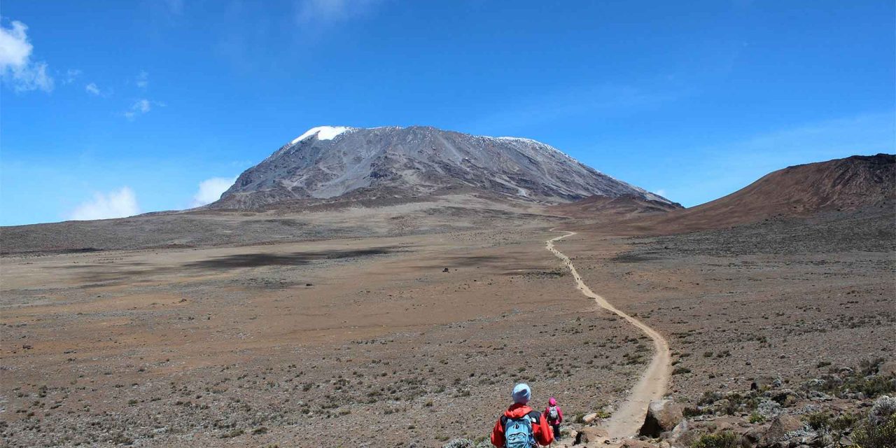 6-Day Rongai Route Itinerary: Your Ultimate Guide to Climbing Kilimanjaro
