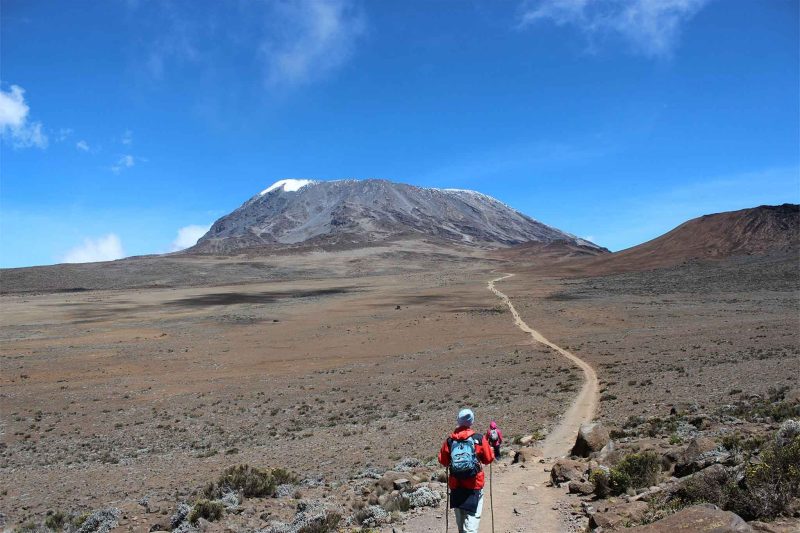 6-Day Rongai Route Itinerary: Your Ultimate Guide to Climbing Kilimanjaro