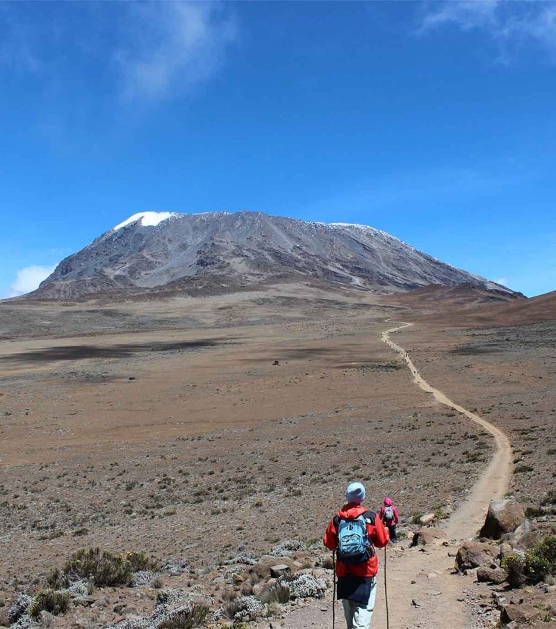6-Day Rongai Route Itinerary: Your Ultimate Guide to Climbing Kilimanjaro