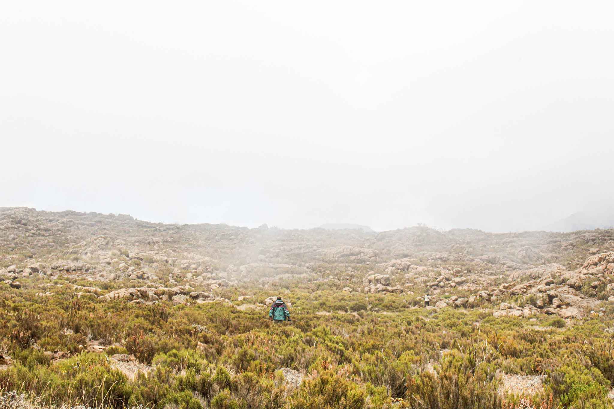 Mount-Kilimanjaro-40 Mount-Kilimanjaro-40