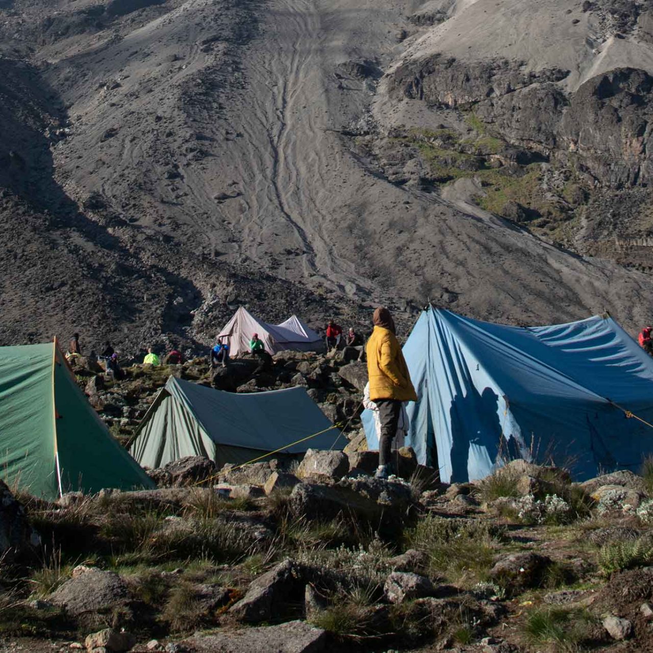 7-Day Lemosho Route Kilimanjaro Climb With The Woven Experience