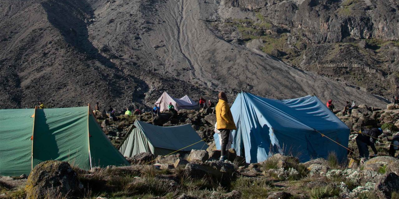 7-Day Lemosho Route Kilimanjaro Climb With The Woven Experience