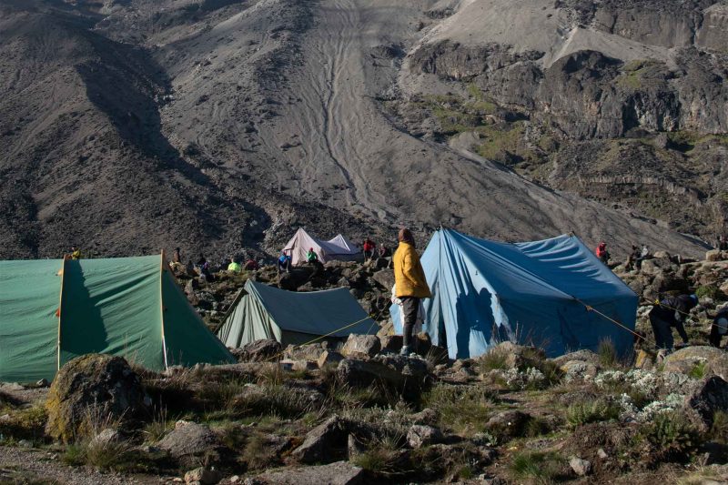 7-Day Lemosho Route Kilimanjaro Climb With The Woven Experience