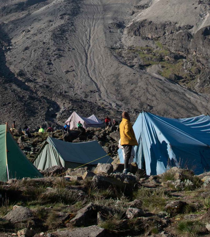 7-Day Lemosho Route Kilimanjaro Climb With The Woven Experience